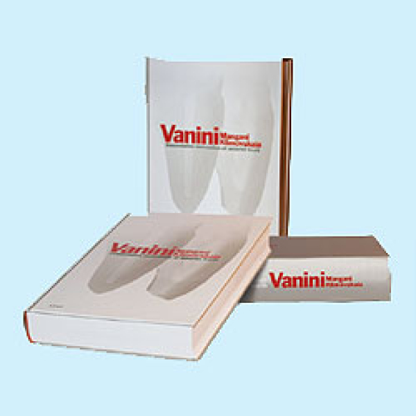 Lorenzo Vanini BUCH-01e